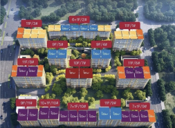 宝山“双子”首战结果出炉！海宸元境16:5碾压对手！