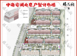 中海地王，不疾不徐